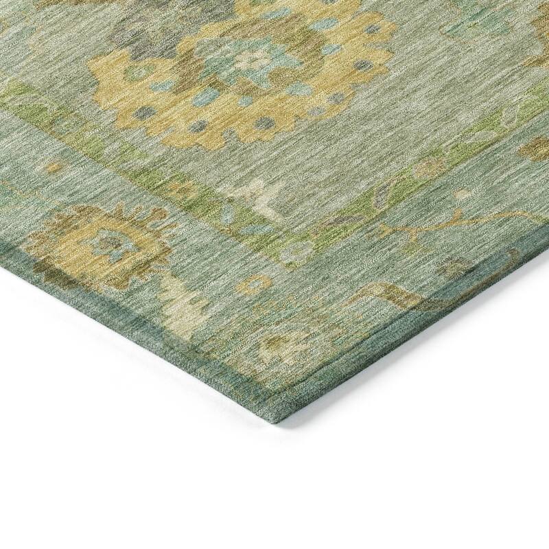 Machine Washable Indoor/ Outdoor Traditional Boho Chantille Rug