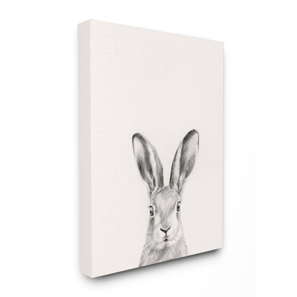 Stupell Bunny Rabbit Portrait Grey Drawing Design Canvas Wall Art - Bed ...