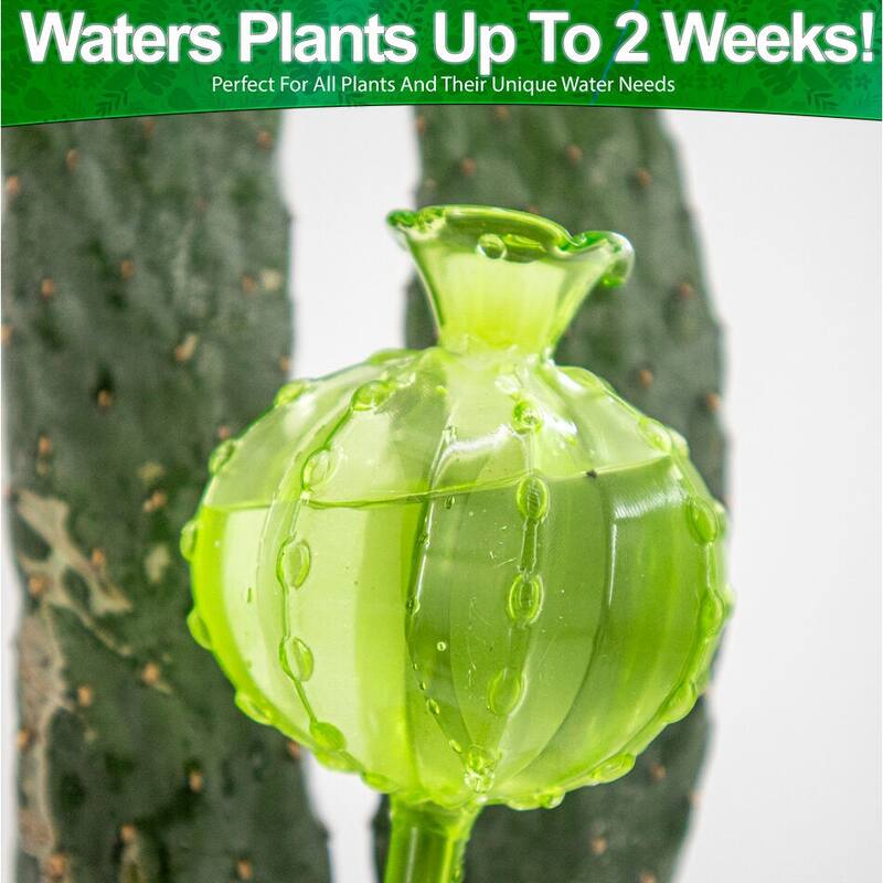 Aqua Glass Plant Watering Cactus Ball Globes - Automatic Self Watering Drip Irrigation Ideal for Vacation Plant Care