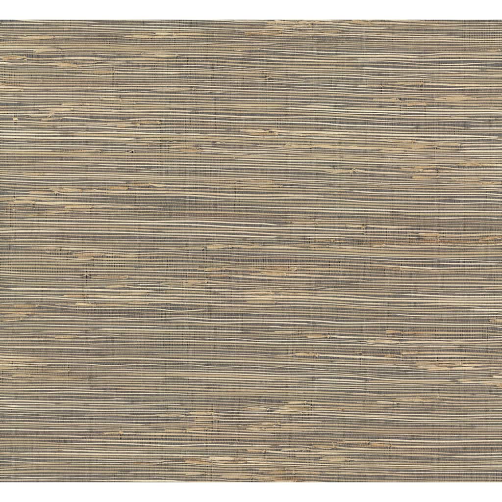 York Wallcoverings River Grass Black Wallpaper