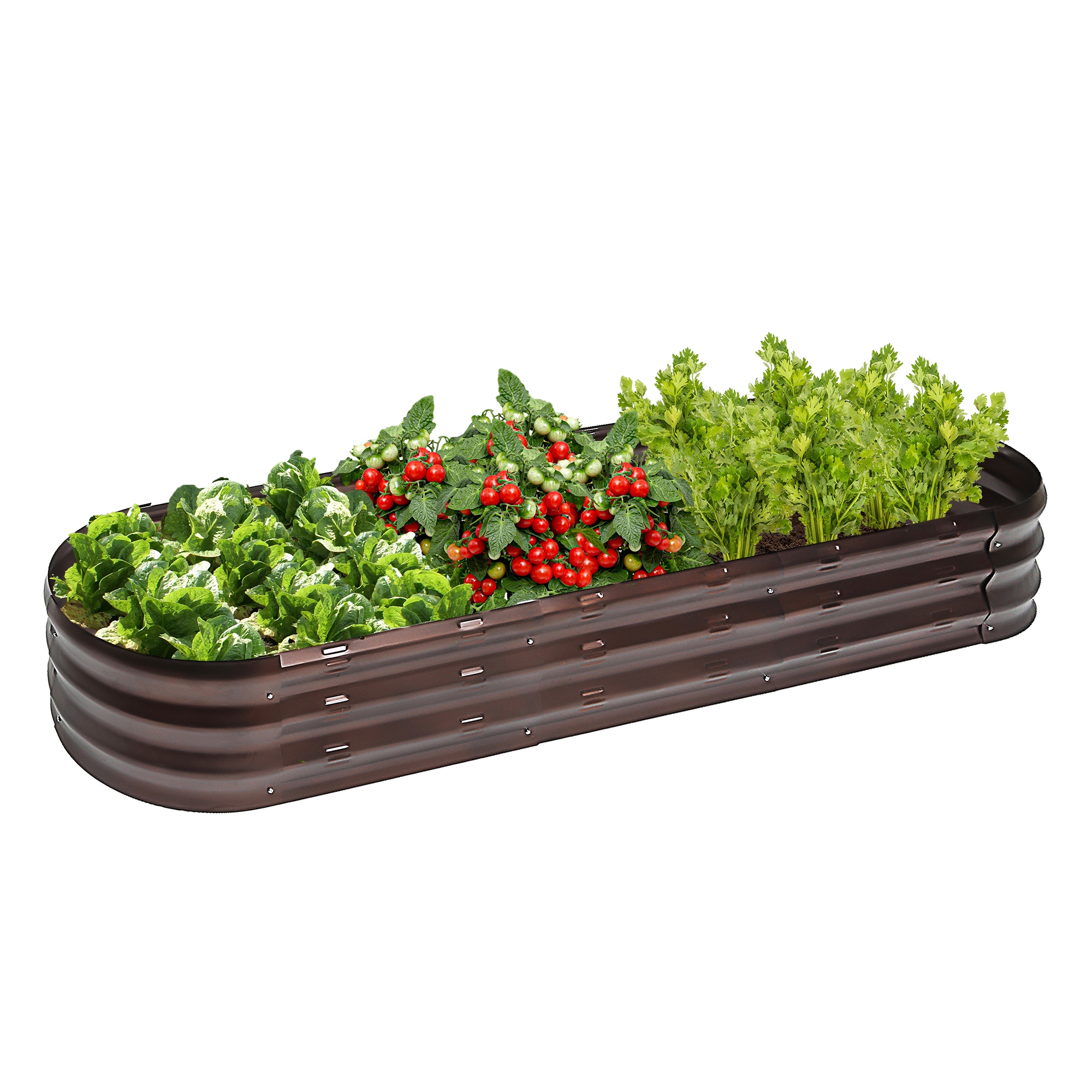 Brown Metal 5.5-Ft Oval Raised Garden Bed Planter - 5.5ft W x 1.625ft D x 0.8ft H