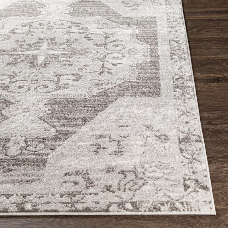 Livabliss St Tropez Updated Traditional Medallion Area Rug.