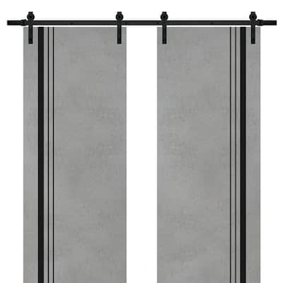 Sturdy Double Barn Door 36 x 80 with Planum 0011 Concrete with 13FT