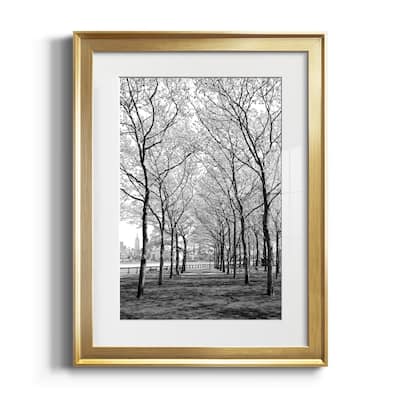 Pier a Park Premium Framed Print - Ready to Hang