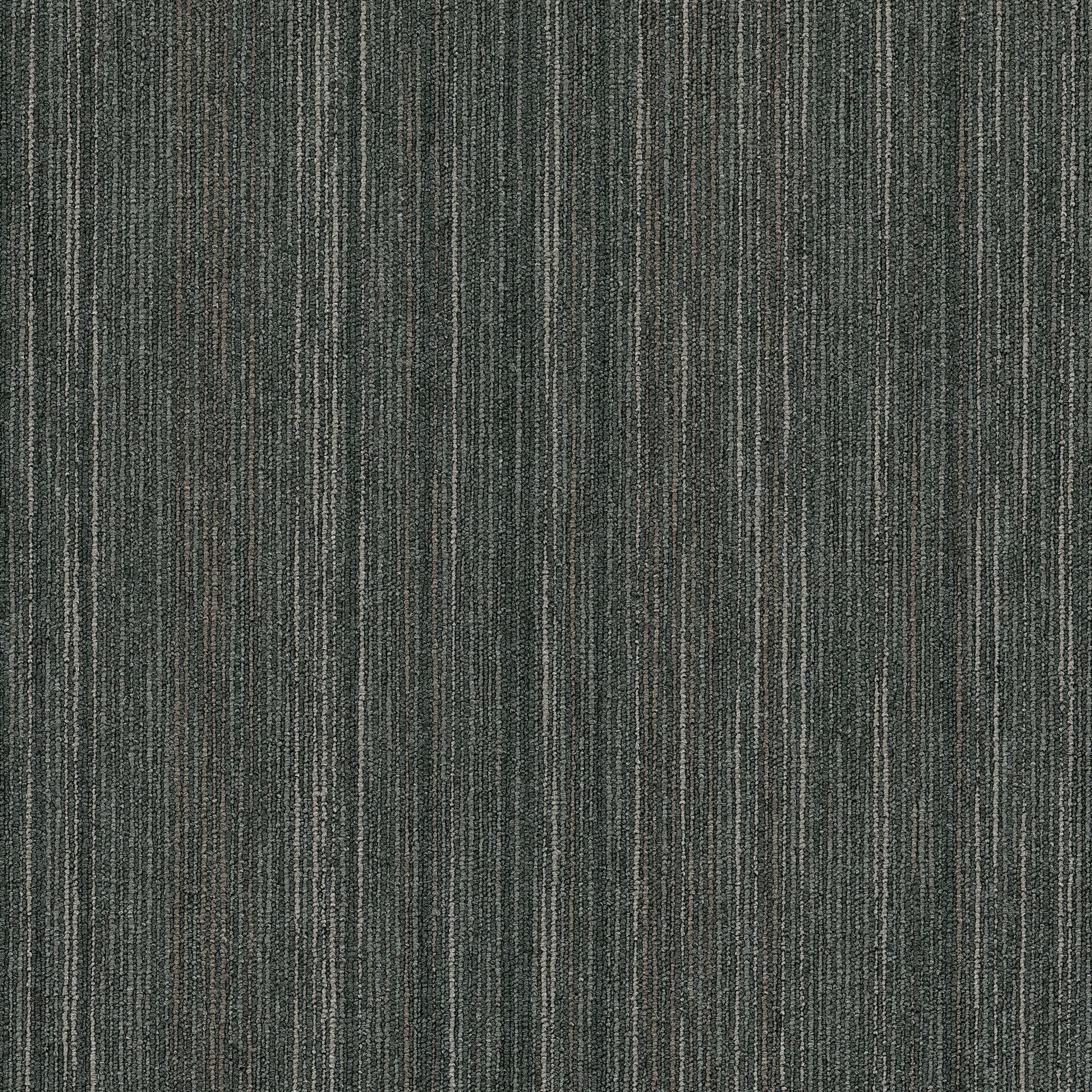 Shaw Philadelphia Commercial Intellect 24" x 24" Glue Down Carpet Tile