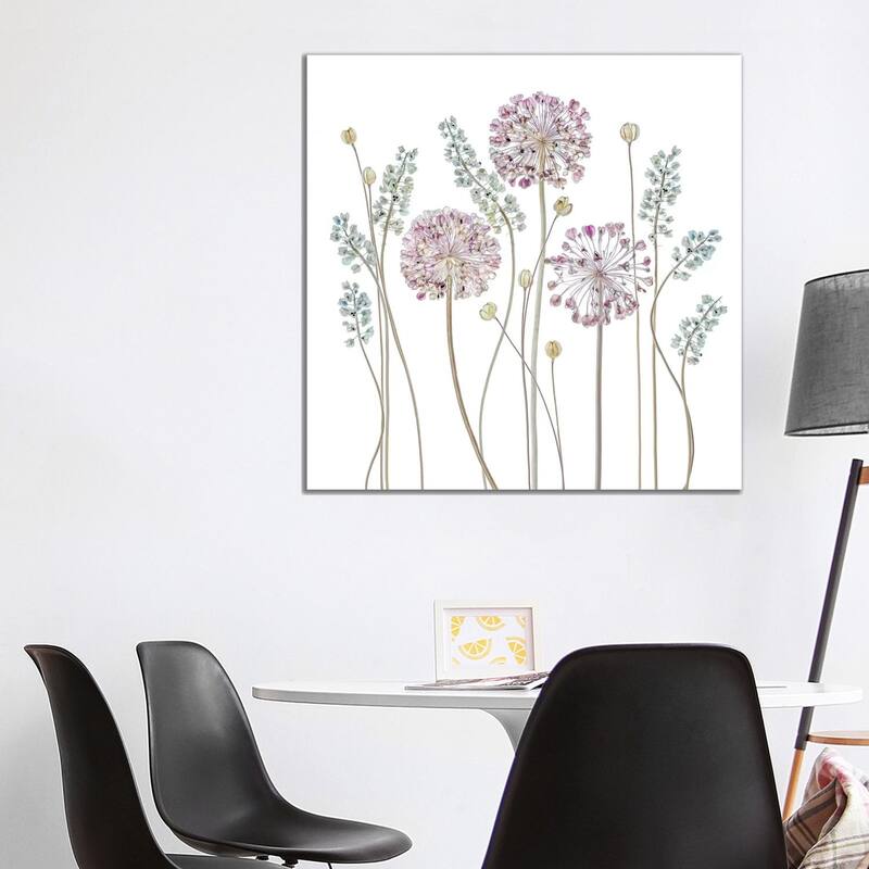 iCanvas "Allium" by Mandy Disher Canvas Print - 37x37x1.5