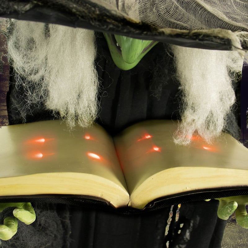 Haunted Hill Farm Life-Size Poseable Witch with Spell Book, Lights and Sound, Indoor/Covered Outdoor Halloween Decoration