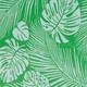 Luxurious Cotton Printed Beach Towel