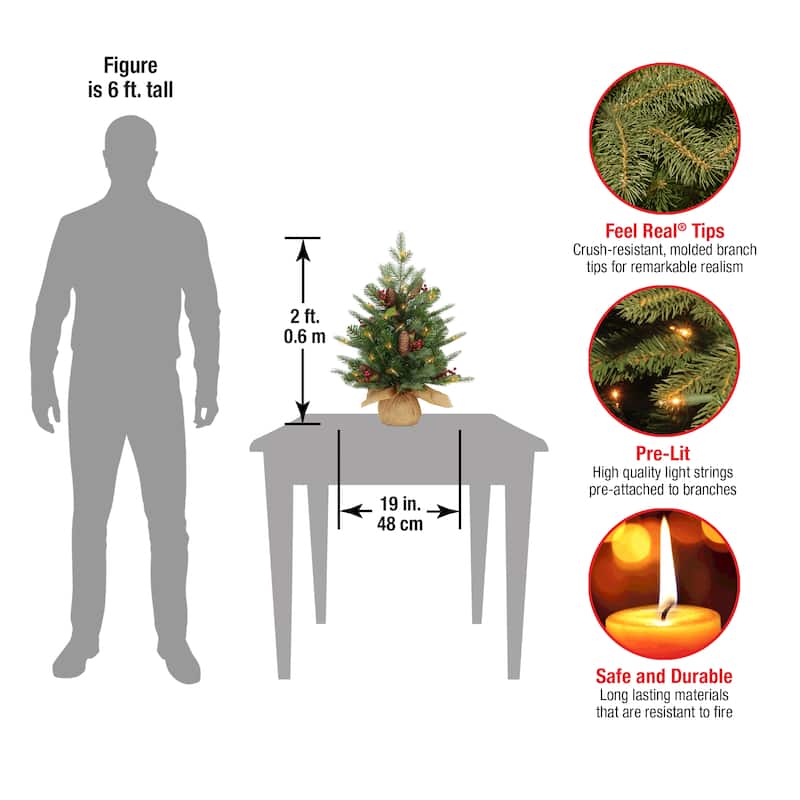 National Tree Company 2 ft. Nordic Spruce Tree with Battery Operated Warm White LED Lights - 2 Foot