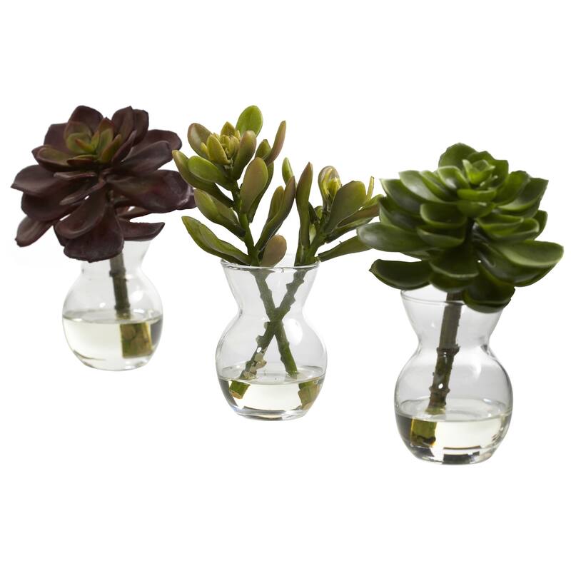 Set of 3 Succulent Artificial Flower Arrangements in Vases 6"