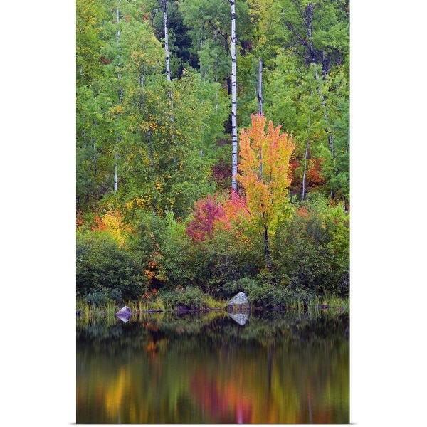 "Autumn color trees along Pike River, water reflection, Minnesota" Poster Print