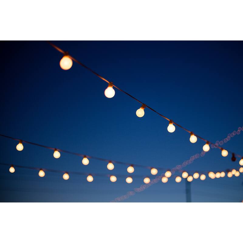 LEDPAX 50-Light 50 ft. Indoor and Outdoor LED String Light, Black - 50 ft
