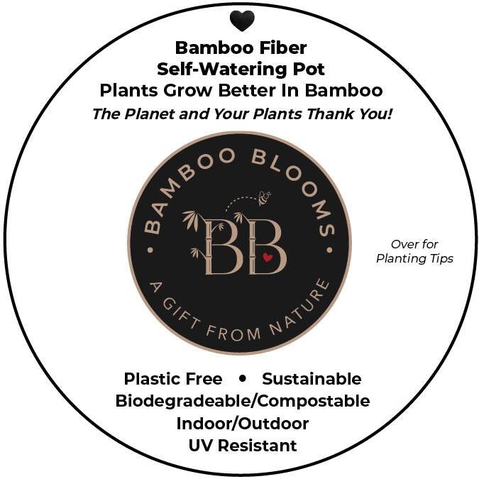 7" Round Self-Watering Indoor/Outdoor Bamboo Pots