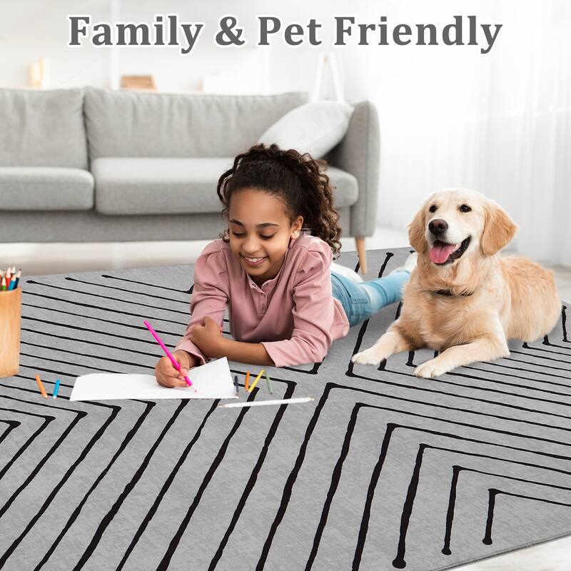 Modern Geometric Area Rug Farmhouse Stripe Area Rug Living Room Stain Resistant Non-Slip Carpet for Bedroom Dining Room