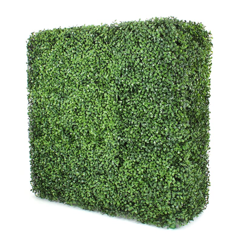 Boxwood Hedge Wall - 31" H - Boxwood