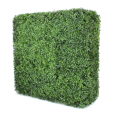 Boxwood Hedge Wall