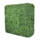 Option Boxwood