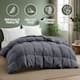 Option Medium Weight Dark Gray
