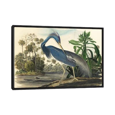 iCanvas "Blue Heron" by Vintage Apple Collection Framed Canvas Print
