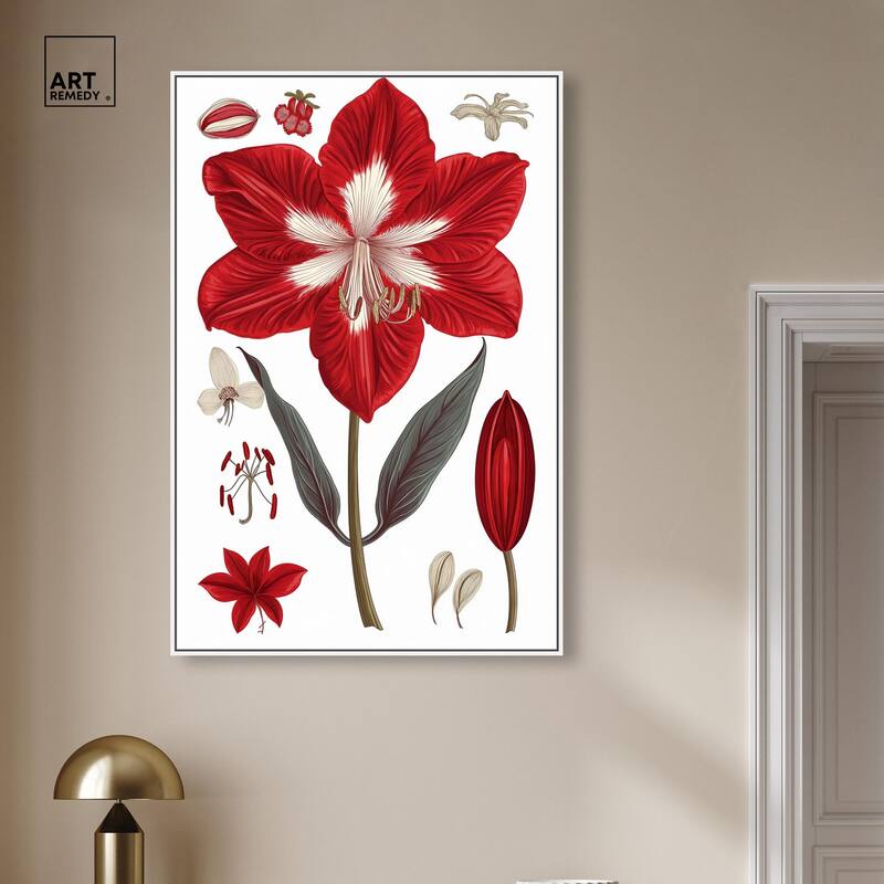 Amaryllis Anatomy Canvas by Art Remedy