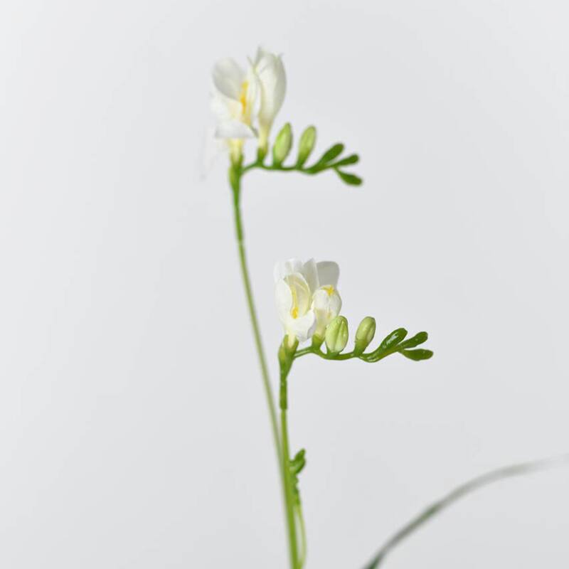 Silk Decorative Artificial Starry Sky Cosmos(Pack of 1 Branch)