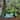 Alpine Corporation Outdoor Solar Powered Garden Animal Statue with LED Lights