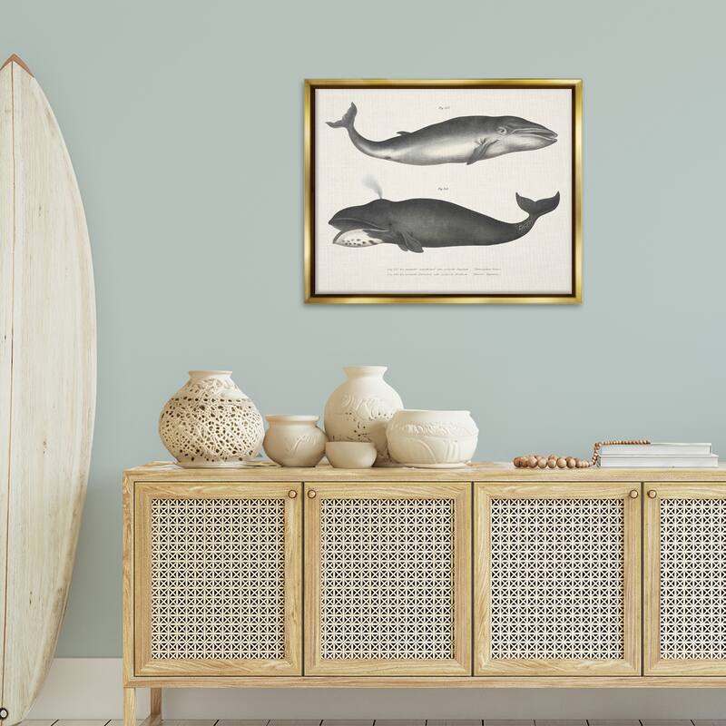 Stupell Vintage Whale Study Diagrams Framed Floater Canvas Wall Art Design By Phillipa Katz
