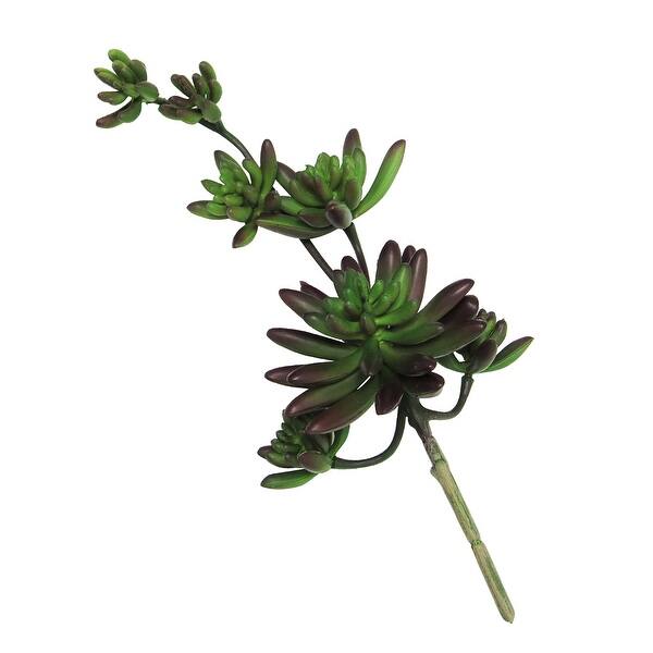 Shop For Set Of 2 Natural Touch Echeveria Succulent Vine Stem Branch Pick Burgundy 12 5in 12 5 L X 5 W X 4 Dp Get Free Shipping On Everything At Overstock Your Online Home Decor Outlet Store Get 5 In Rewards With Club O Shop For Set Of 2 Natural Touch Echeveria Succulent Vine Stem Branch Pick Burgundy 12 5in 12 5 L X 5 W X 4 Dp Get Free Shipping On Everything At Overstock Your Online Home Decor Outlet Store Get 5 In Rewards With Club O