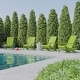preview thumbnail 50 of 126, All-weather Poly Resin Wood Outdoor Adirondack Chair (Set of 4)