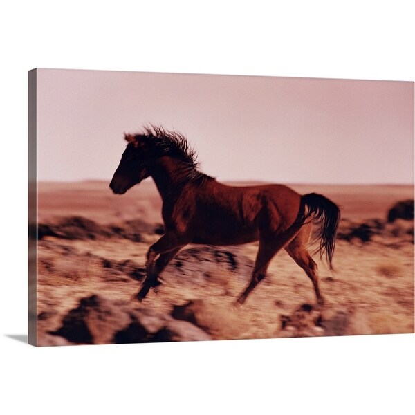 "Wild horse running, Flagstaff, Arizona, USA" Canvas Wall Art