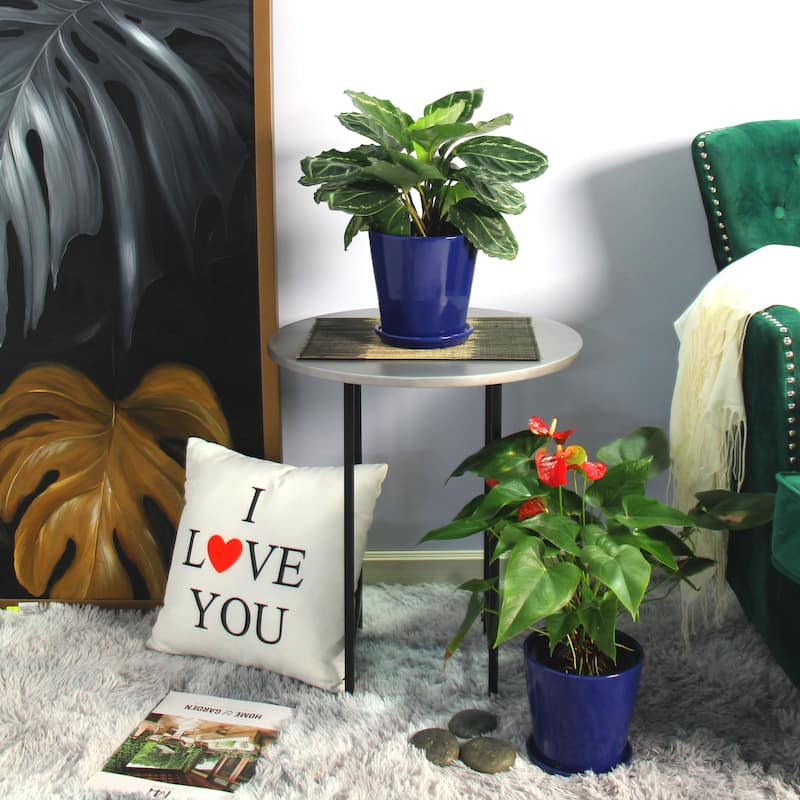 Pansy Ceramic Planter Set with Dish 2-pack