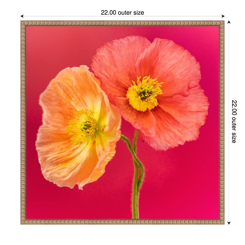 Luxuriously Lucent by Cheryl Eagers Framed Canvas Wall Art Print - 22 x 22 in