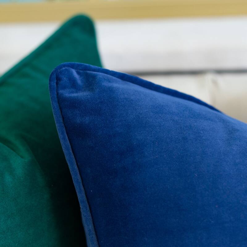 Elisa Velvet 20" Square Decorative Throw Pillow 2PK