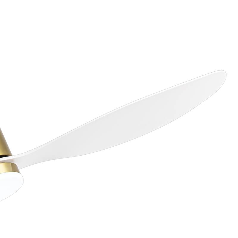 52-inch Ceiling Fans with LED Light Remote and Downrod(3-Blade)