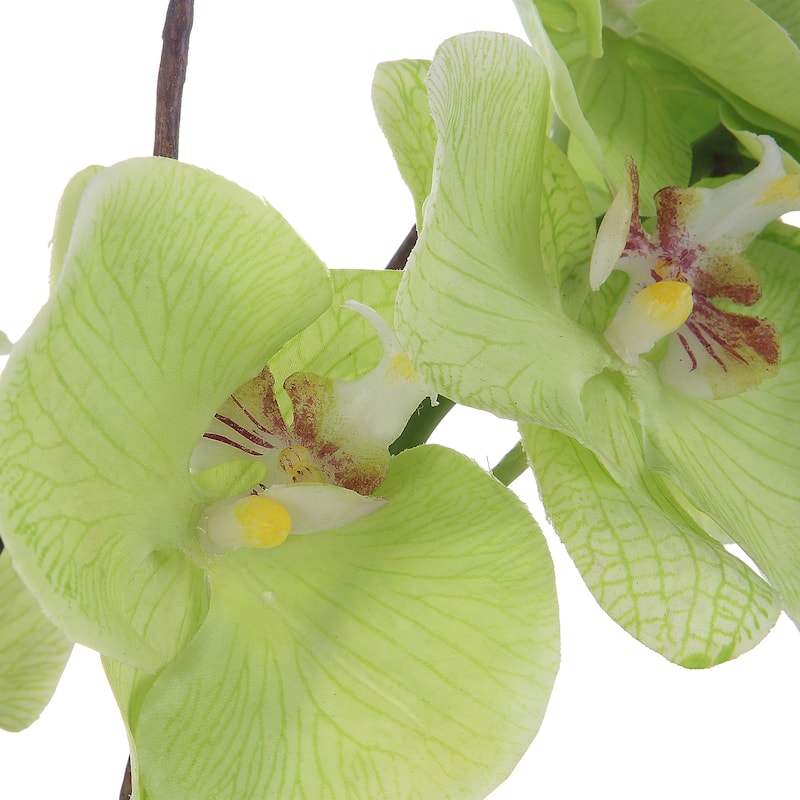 Uttermost Valdive Orchid - 21 W x 38 H x 21 D (inches)