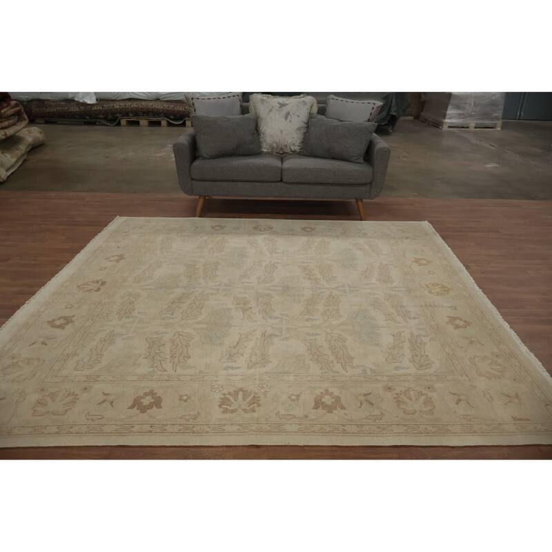 Hand Knotted Oriental 100% Wool Carpet Traditional All-Over Beige & Ivories Ziegler Area Rug - 8' 3'' X 7' 9''