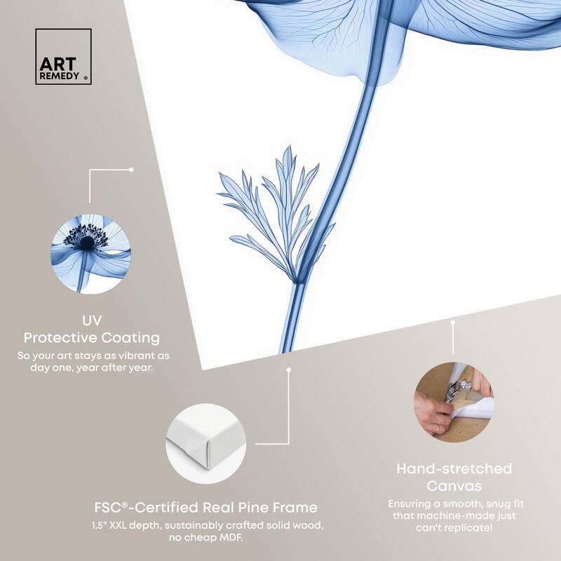 Floral Radiograph Canvas by Art Remedy, Gallery Wrapped