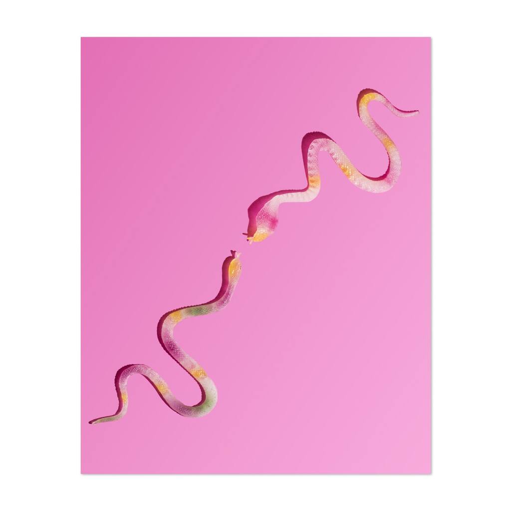 Snakes Saluting Photography Animals Humor Art Print/Poster