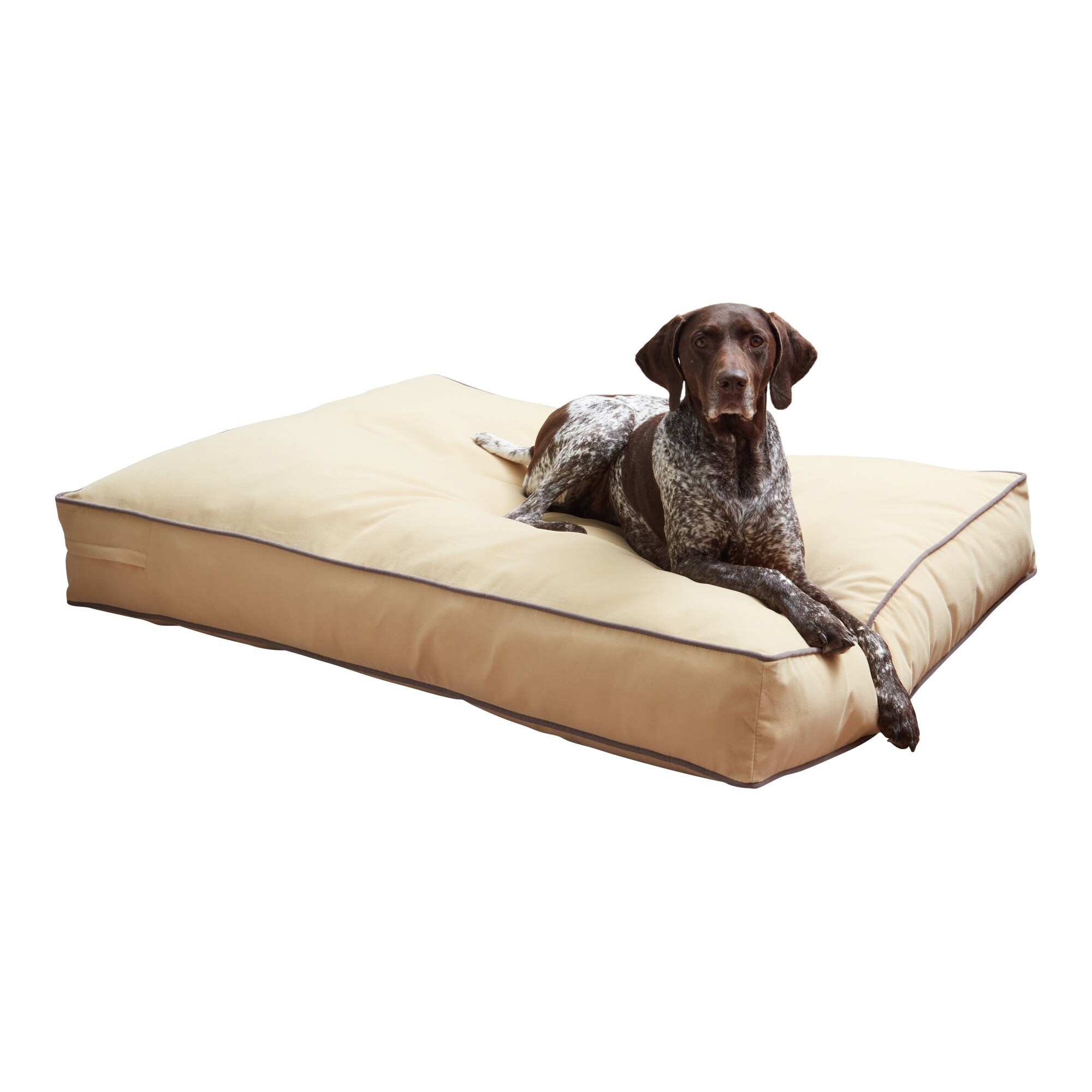 Microfiber Pet Beds Bed Bath Beyond
