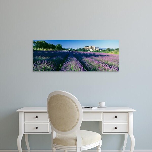 Easy Art Prints Panoramic Images's 'Lavender field, Provence