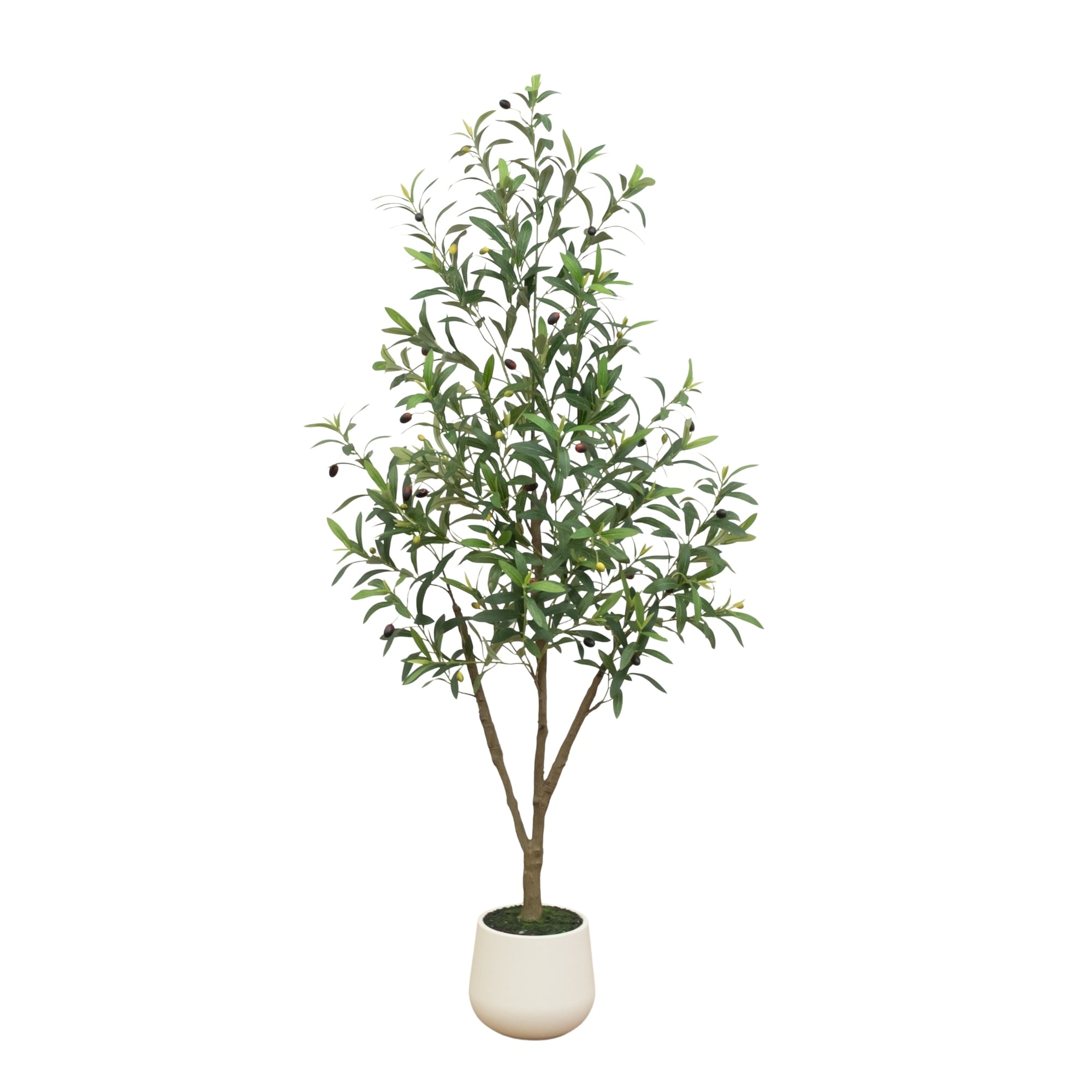 5-ft Artificial Olive Tree in White Decorative Planter