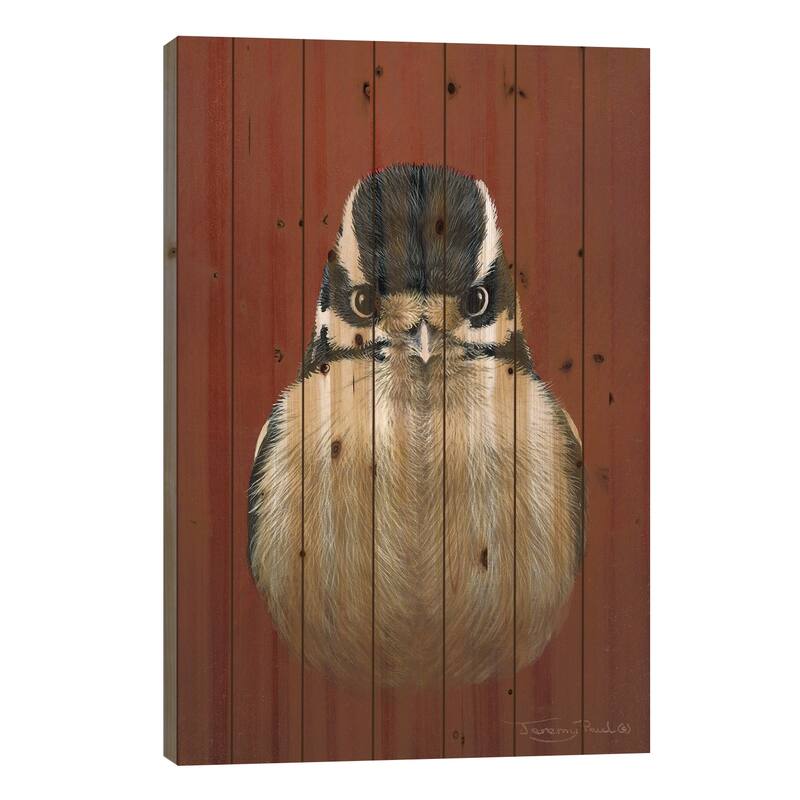 Downy Woodpecker Print On Wood by Jeremy Paul - Multi-Color - 40x26x1.5