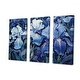 blue iris free download crack