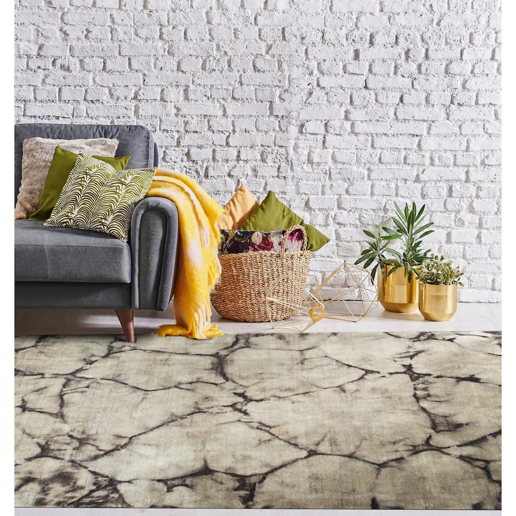 Brown Contemporary Transitional Dip Dyed Area Rug - 4' x 6'