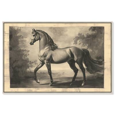 Sketch of a Stallion Canvas by Art Remedy