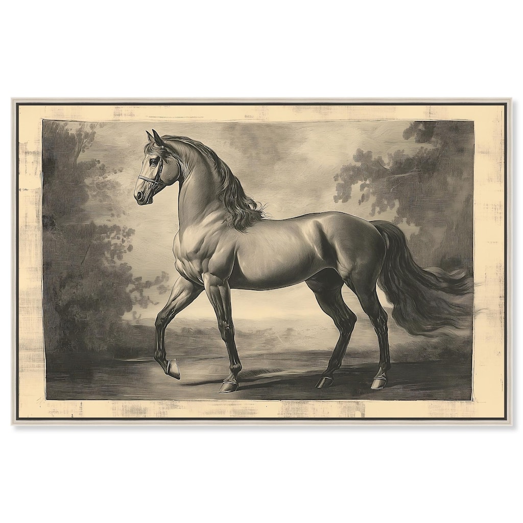 Sketch of a Stallion Canvas by Art Remedy