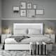 Option White