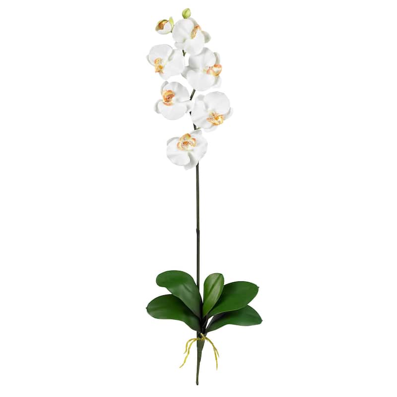 Coastal Charm Orchid Stems (12 Pack) - Elegant Home Decor Flowers - 2.63ft.