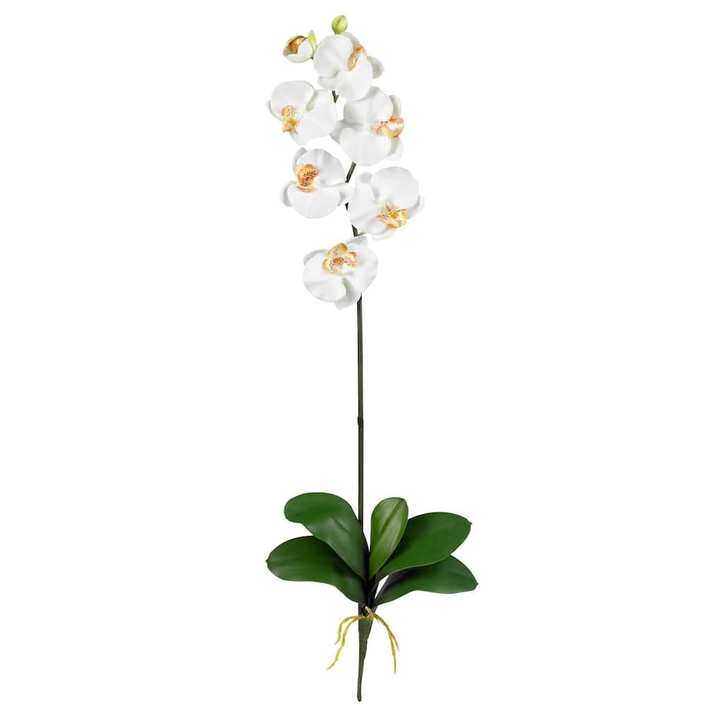 Coastal Charm Orchid Stems (12 Pack) - Elegant Home Decor Flowers - 2.63ft.