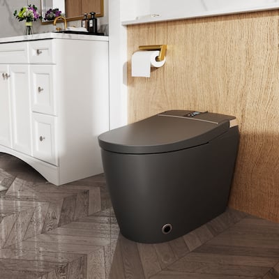 Elongated Smart Toilet with Bidet Wash, Heated Seat, Warm Air Dry, Remote Control, Auto Flush, LED Display